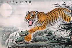 Chinese Zodiac 2024 Tiger Predictions
